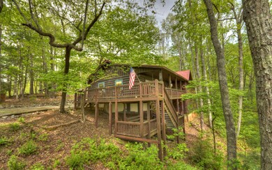 Additional View