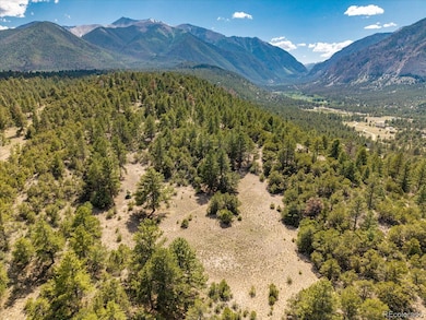 000 Oppliger Dr, Nathrop, CO 81236 - photo 3