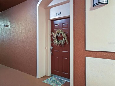 1353 Venezia Ct unit 205, Davenport, FL 33896 - photo 2