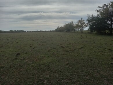 view of pasture