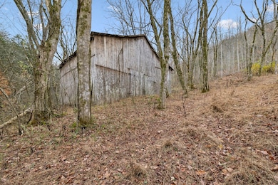 0 Long Branch Rd unit RTC3056927, Lancaster, TN 38569 - photo 6