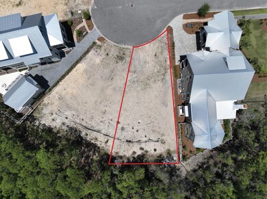 40 String Lily Cove, Santa Rosa Beach, FL 32459 - photo 5