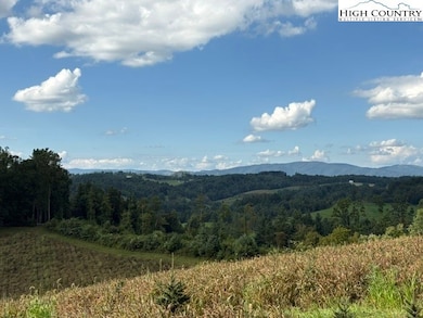 0 Tbd Topia Rd, Piney Creek, NC 28663 - photo 5