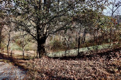 1011 Clark Branch Rd, Asheville, NC 28806 - photo 6