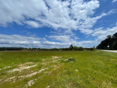 105 Rambling Ln, Cross, SC 29436 - photo 3