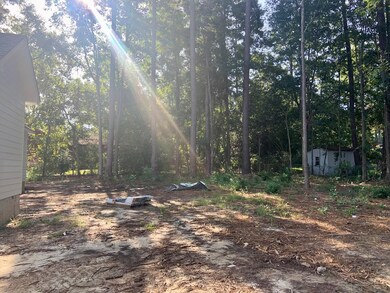 Large Backyard that's partly shaded