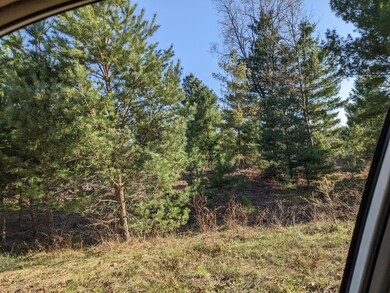 0 Jussi St unit 23021805, Kaleva, MI 49645 - photo 5