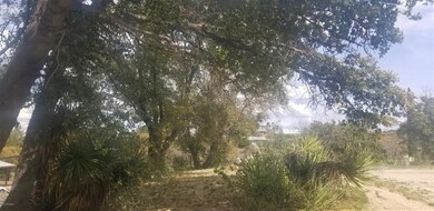 20190320_143355