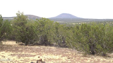 1641 Lara Ln, Williams, AZ 86046 - photo 2