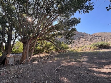 100 Hillcrest St, Caliente, NV 89008 - photo 4