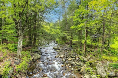 10 Wiswall Hill Rd, Newfane, VT 05345 - photo 6