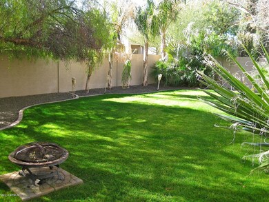 Beautiful Lush Backyard