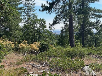 0 Section 5 unit NWM2408212, Goldendale, WA 98620 - photo 4