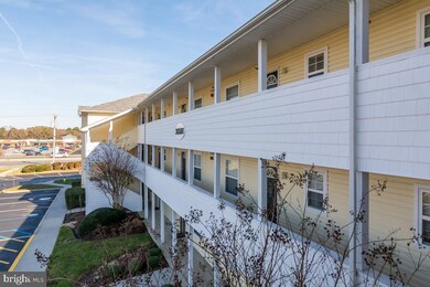 36501 Palm Dr unit 1304, Rehoboth Beach, DE 19971 - photo 4