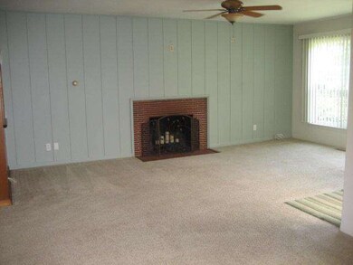 Wood burning fireplace in living room.