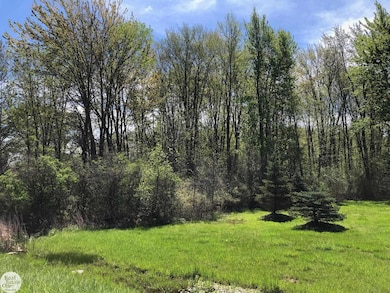 0 Meisner Rd unit 50142718, East China, MI 48054 - photo 6