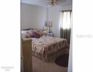 908 Plaza St, Clearwater, FL 33755 - photo 5