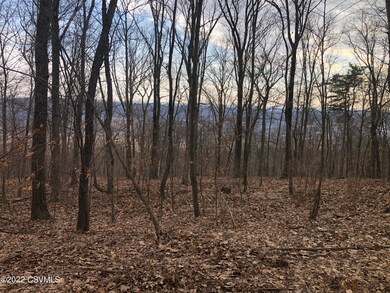 0 Windsong Ln unit 20-90047, Danville, PA 17821 - photo 3