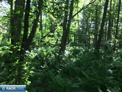 TBD Anderson Rd, Toivola, MN 55765 - photo 4