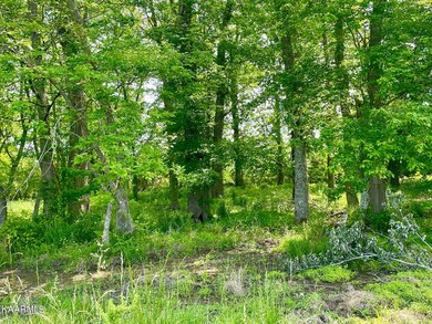 0 Old Kentucy Rd at Jared Rd unit RTC2972179, Sparta, TN 38583 - photo 7