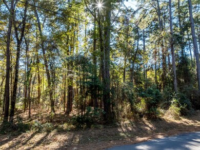 Lot 7 Pintail Dr, Flint, TX 75762 - photo 7