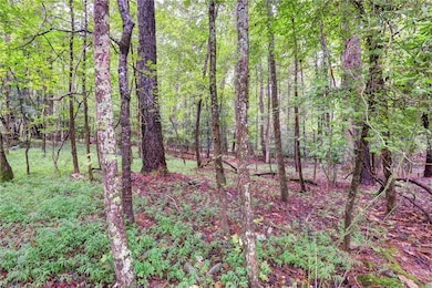 200 Jolly Pond Rd, Williamsburg, VA 23188 - photo 2