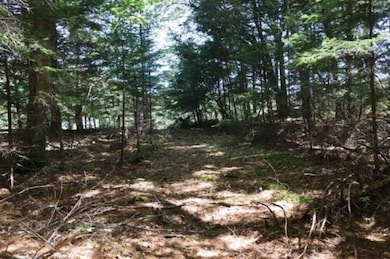 0 Beechwood, Warren, ME 04864 - photo 3