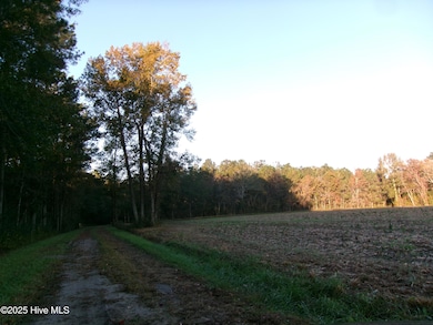 840 Wilmar Rd, Vanceboro, NC 28586 - photo 7