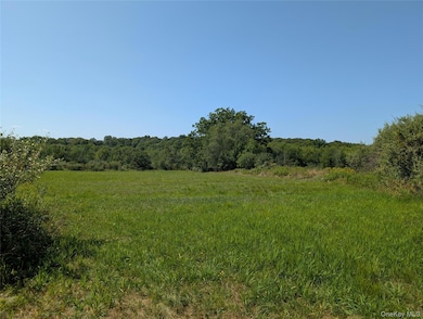 2024 Mount Hope Rd, Middletown, NY - photo 2