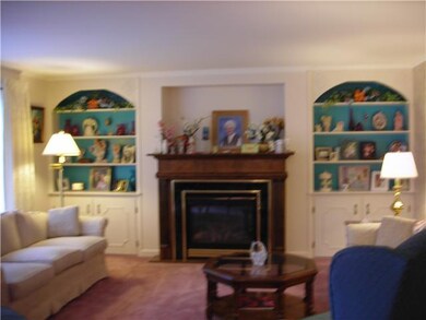 Living Room Gas fireplace and professionally insta