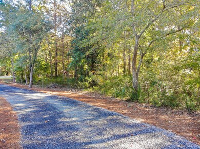 1484 Dupree Creek Ln, Mount Pleasant, SC 29429 - photo 5