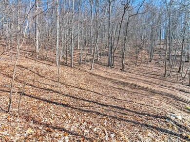 This part of the property is to the side of the lo