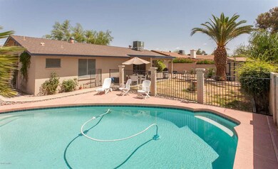 Beautiful Pool