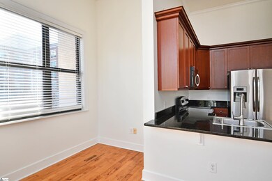 224 S Laurens St unit 410, Greenville, SC 29601 - photo 6