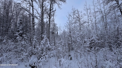 L 735 S Tussle Cir, Willow, AK 99688 - photo 5
