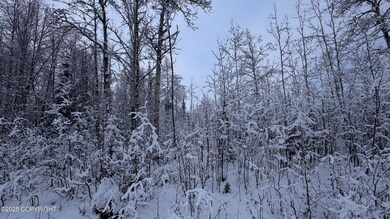 No Number S Tussle Cr Cir, Willow, AK 99688 - photo 5