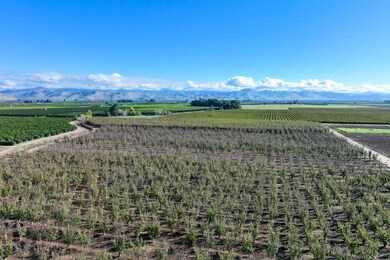 0 S Crawford Ave, Reedley, CA 93654 - photo 4