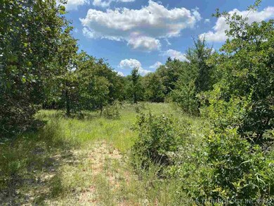 2933 S County Line Rd, Overbrook, OK 73453 - photo 3