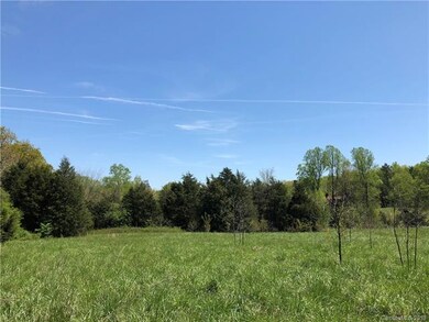 0000 Church Lake Rd, Statesville, NC 28625 - photo 2