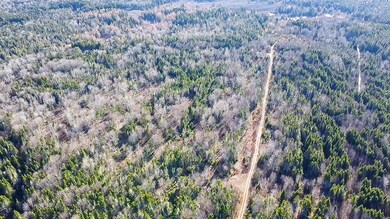 Map 04 Lots #2-15 2-16 Yellow Birch Rd, Whiting, ME 04691 - photo 3