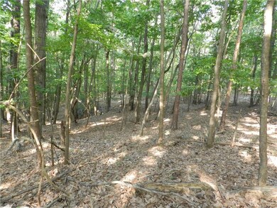 000 Rockridge Rd, Asheboro, NC 27205 - photo 4