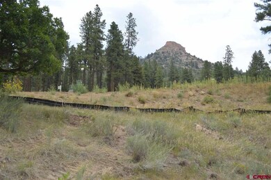 564 Tipple Ave, Durango, CO 81301 - photo 3