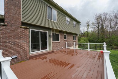 Redbud-5