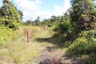 0 Nahelenani St unit 717910, Volcano, HI 96785 - photo 2