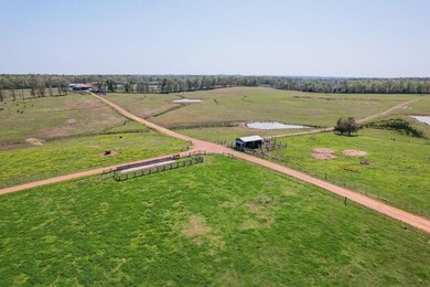 833 N Prather Rd, Michie, TN 38357 - photo 4