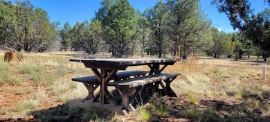 7432 Daisy Dr, Red Lake, AZ 86046 - photo 6