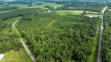 0 Great Swamp Loop unit 100523091, Black Creek, NC 27851 - photo 7