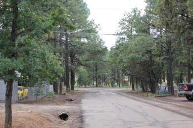 550 S 7th Ave, Show Low, AZ 85901 - photo 6