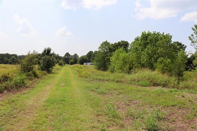 732 Silver Creek Rd, Azle, TX 76020 - photo 4