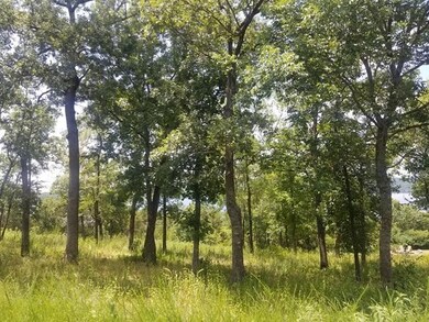 Tbd Summer Rd, Ruth B Rural Township, MO 65686 - photo 4